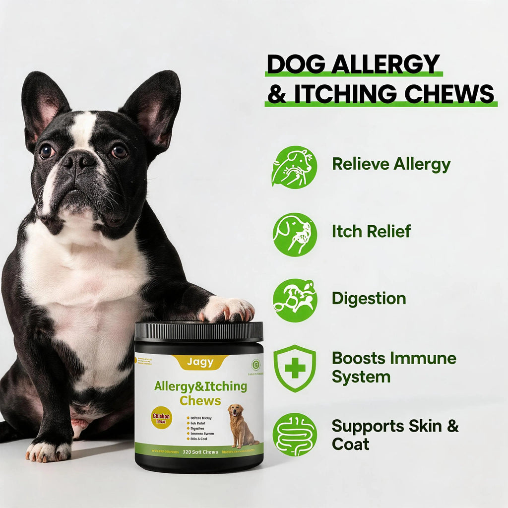 Jagy Omega-3 Allergy Relief Chews for Dogs - 120 Naturalsoft Chews Fish Oil Treats for Itchy Skin, Hot Spots & Shedding Advanced Skin & Coat Vitamins with Soothingsupport for Healthy Pet Skin & Coat,Back to School