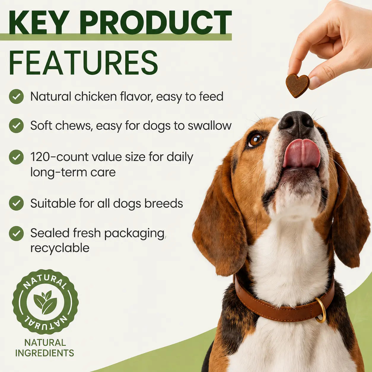 Jagy Omega-3 Allergy Relief Chews for Dogs - 120 Naturalsoft Chews Fish Oil Treats for Itchy Skin, Hot Spots & Shedding Advanced Skin & Coat Vitamins with Soothingsupport for Healthy Pet Skin & Coat,Back to School