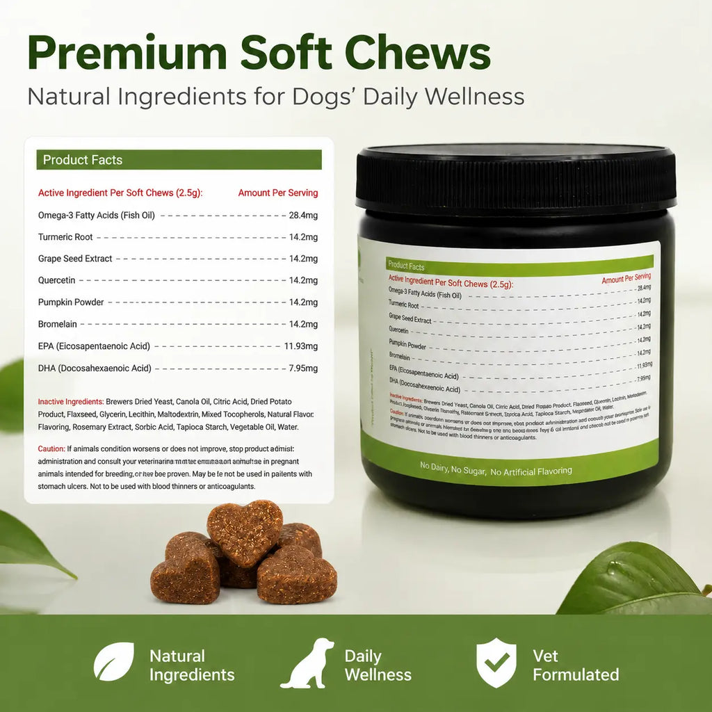 Jagy Omega-3 Allergy Relief Chews for Dogs - 120 Naturalsoft Chews Fish Oil Treats for Itchy Skin, Hot Spots & Shedding Advanced Skin & Coat Vitamins with Soothingsupport for Healthy Pet Skin & Coat,Back to School